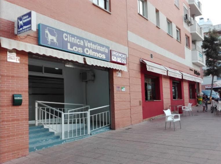 Clínica Veterinaria los Olmos fachada clinica