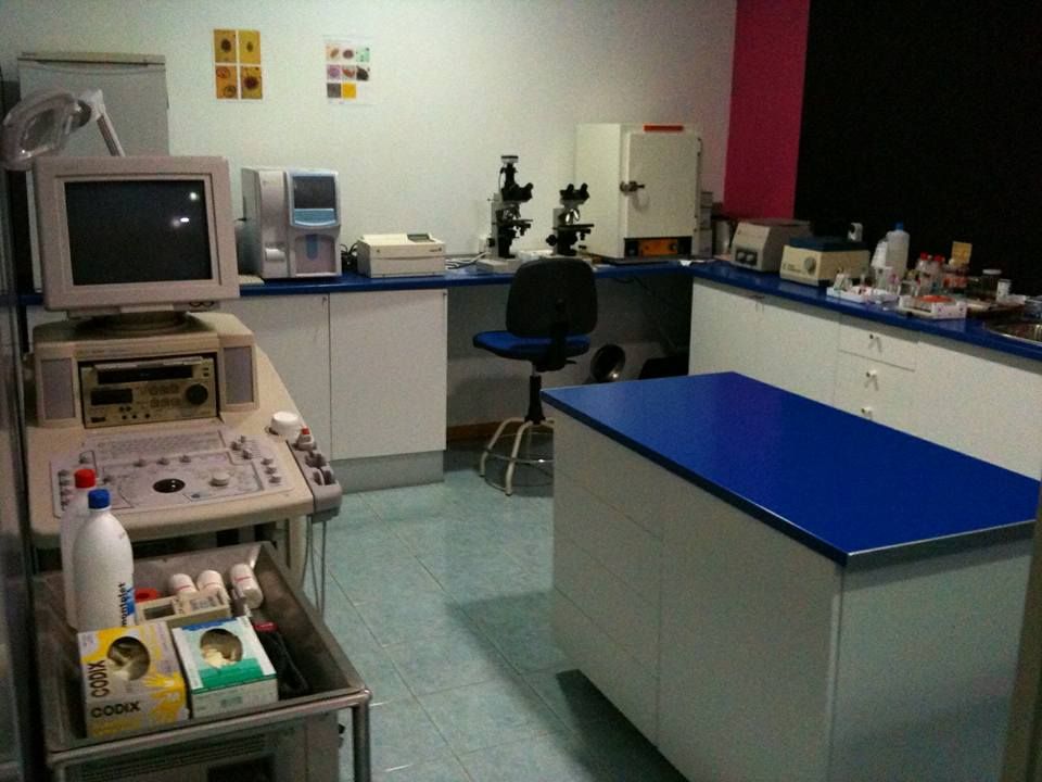 Clínica Veterinaria los Olmos sala de operaciones