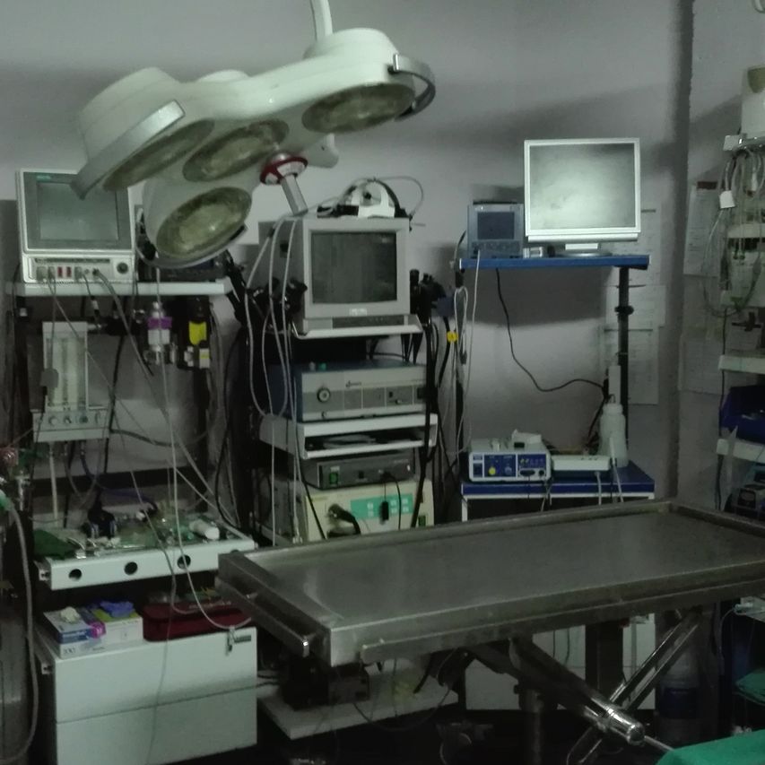 Clínica Veterinaria los Olmos Urgencias