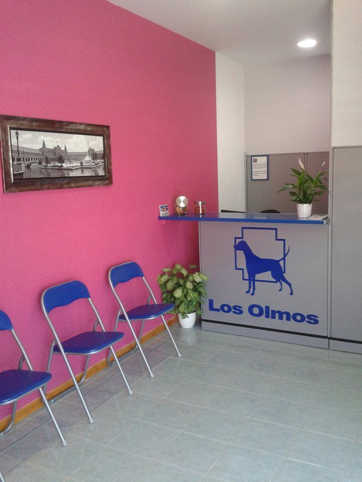 Clínica Veterinaria los Olmos sala de espera