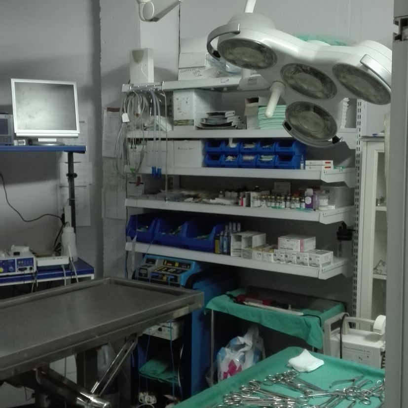 Clínica Veterinaria los Olmos operaciones mascotas