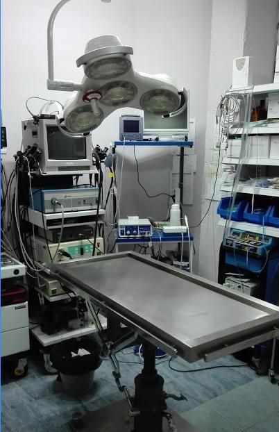 Clínica Veterinaria los Olmos equipo de operación