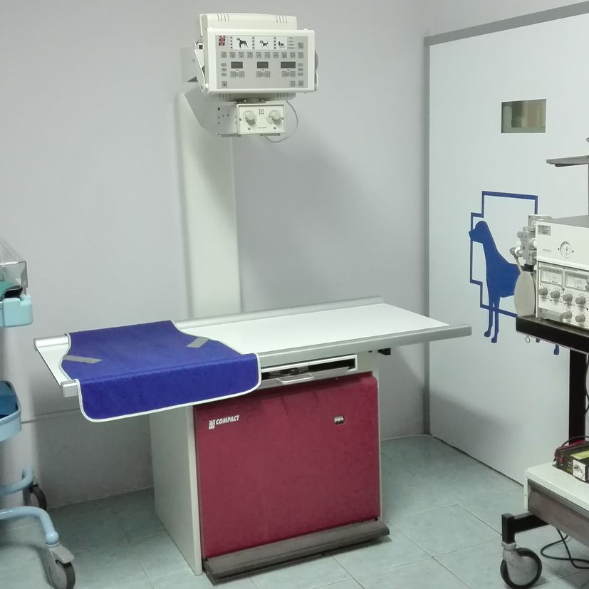 Clínica Veterinaria los Olmos herramienta operaciones