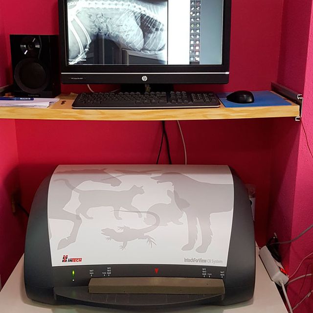Impresión de radiografía 