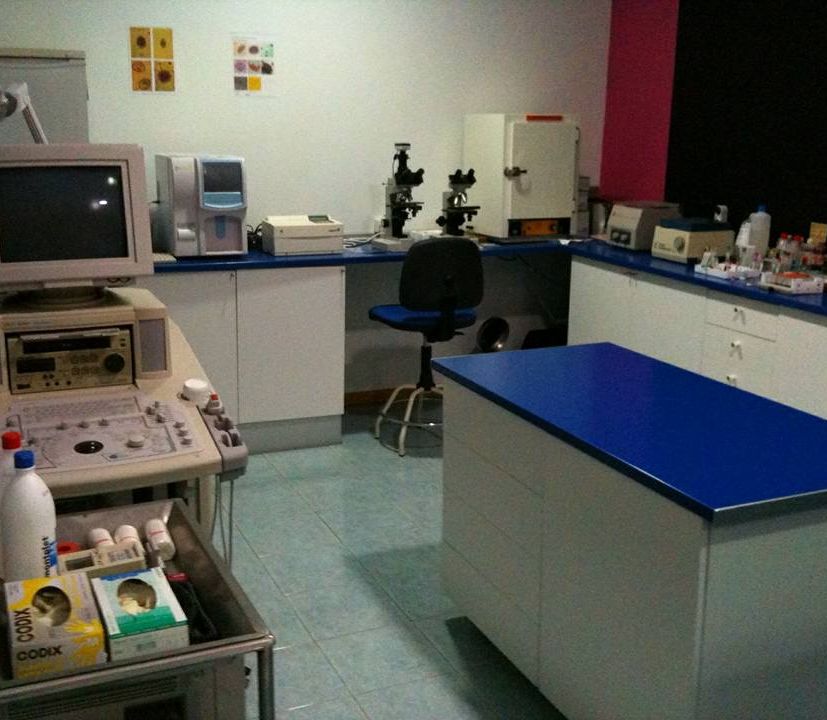 Clínica Veterinaria los Olmos sala de operaciones