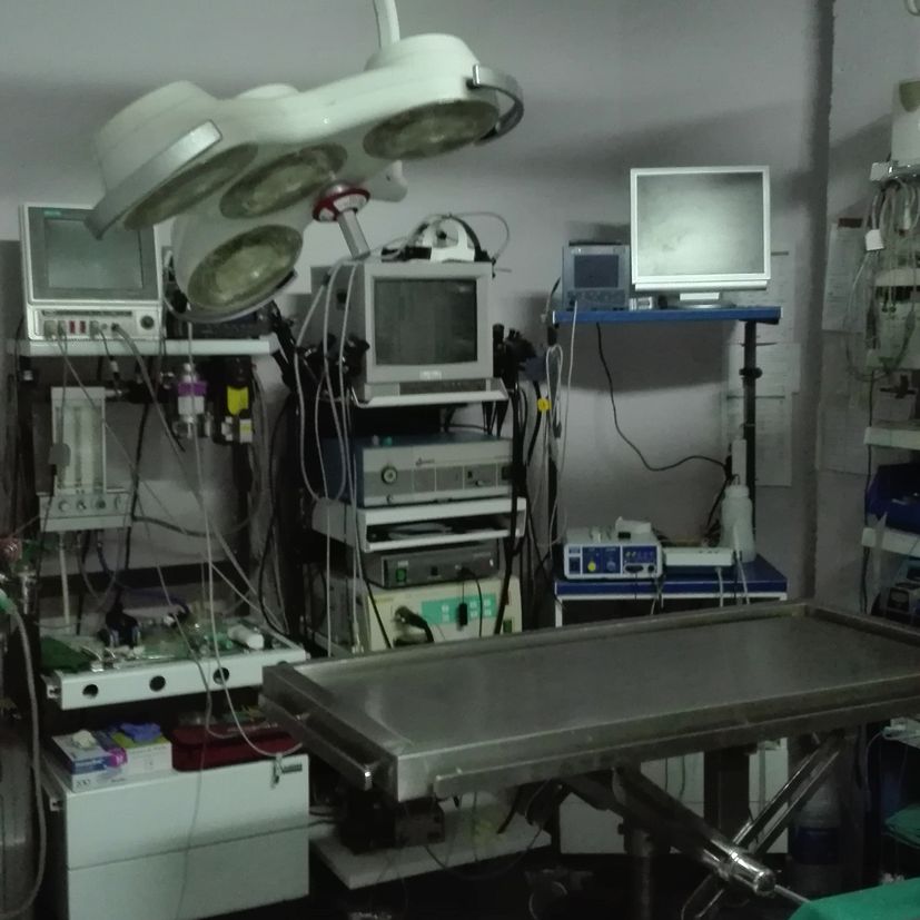 Clínica Veterinaria los Olmos quirófano