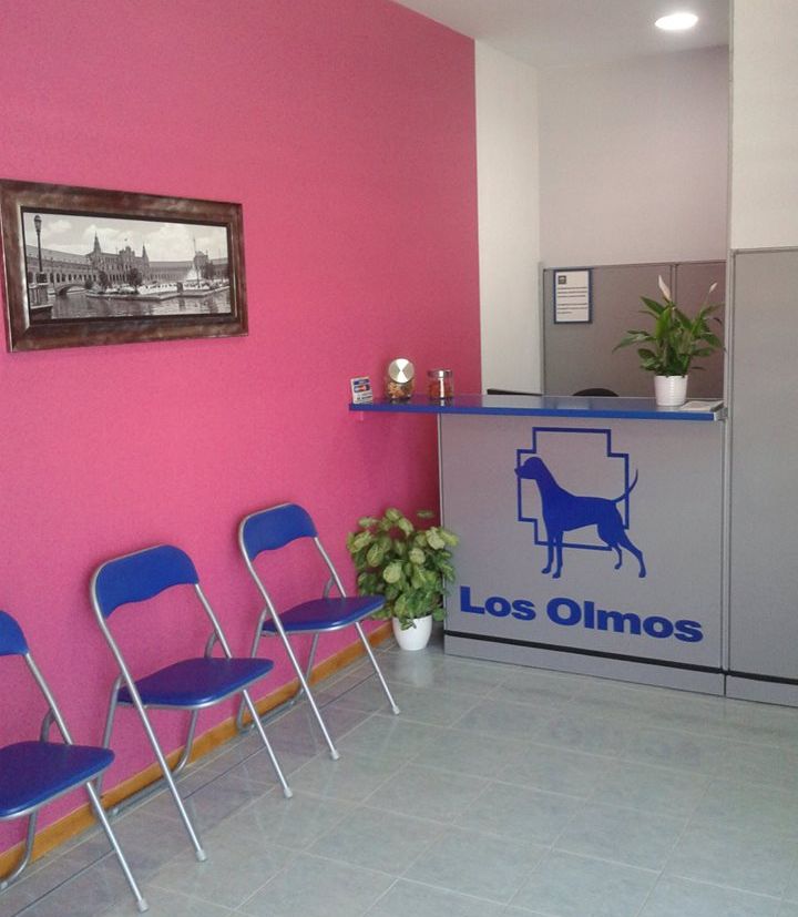 Clínica Veterinaria los Olmos sala de espera
