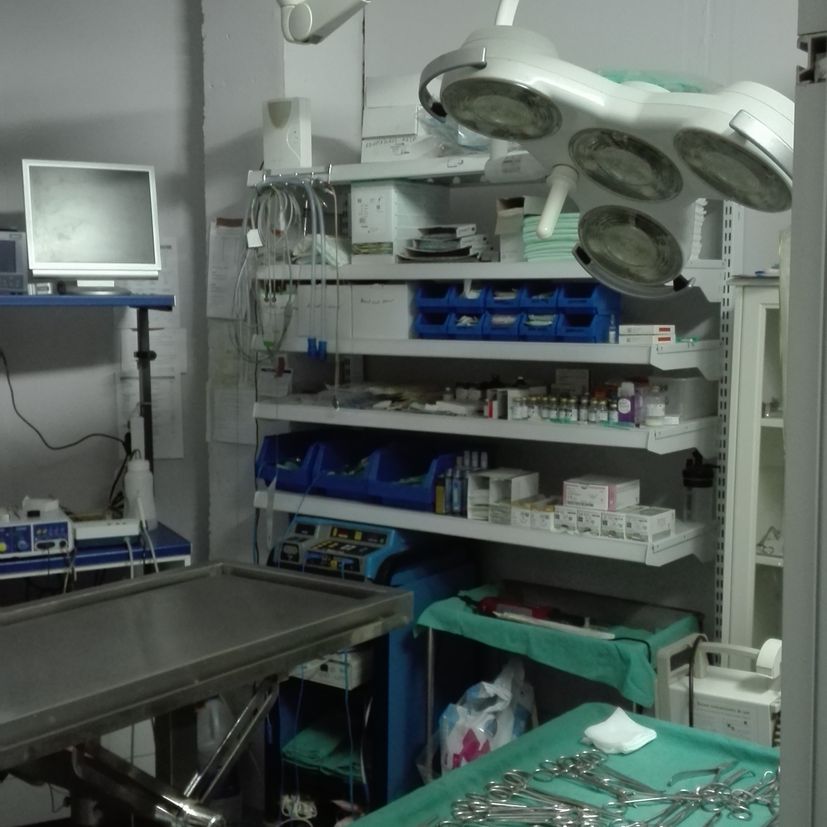 Clínica Veterinaria los Olmos operaciones mascotas