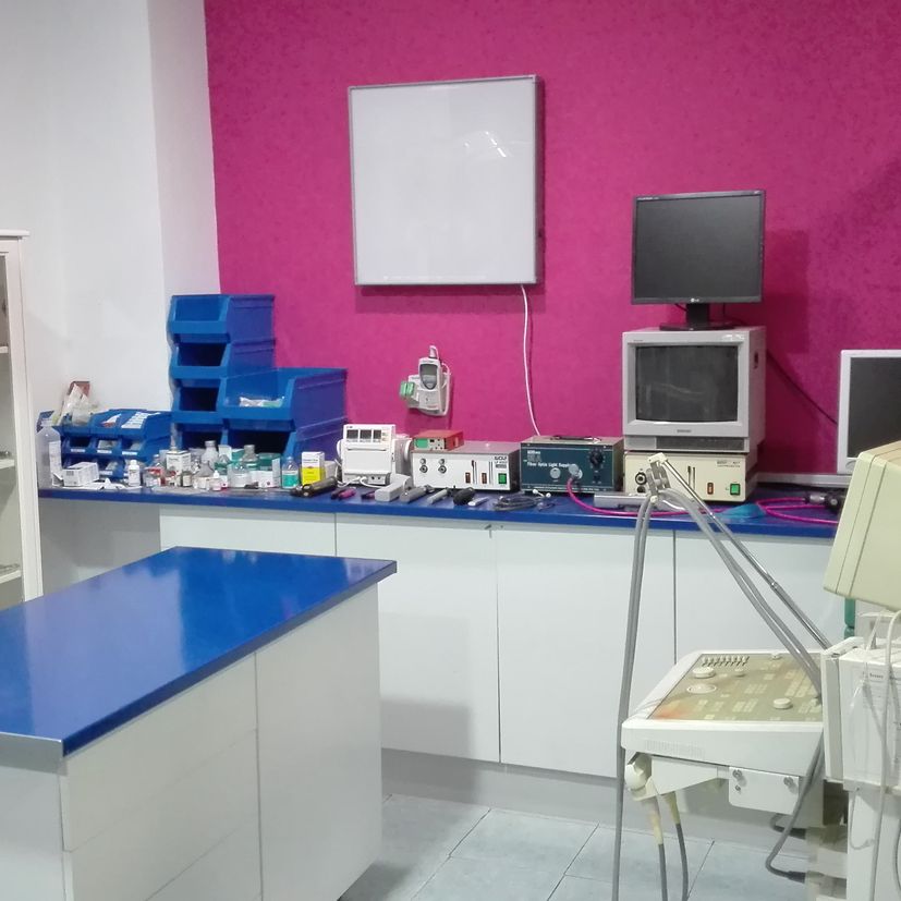 Clínica Veterinaria los Olmos sala de operaciones